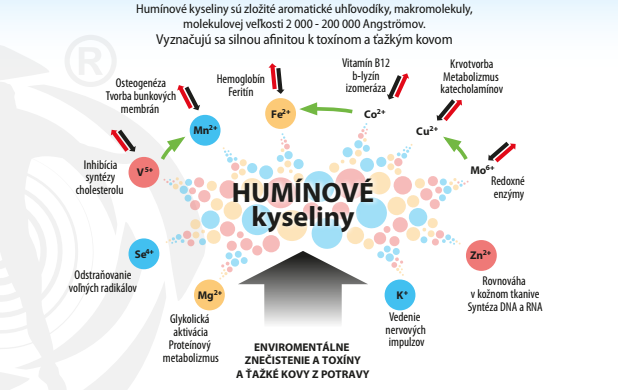Mechanizmus účinku_1